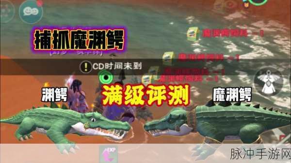 创造与魔法，渊鳄饲料的神秘配方大揭秘