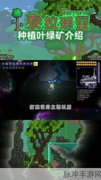 泰拉瑞亚手游，叶绿锭获取全攻略