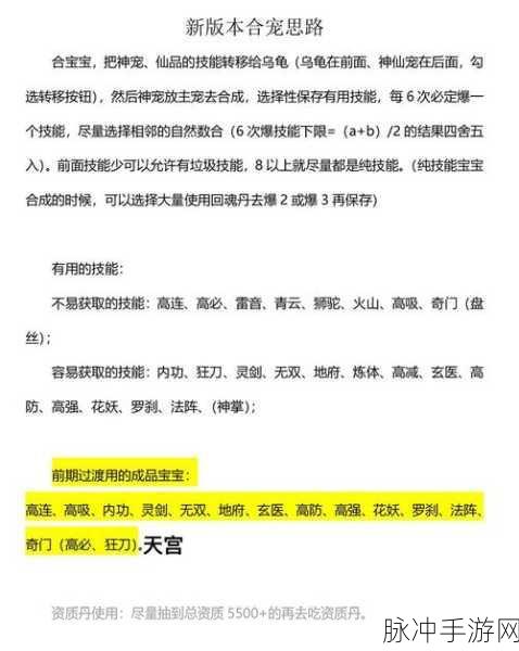 剑与魔龙炼丹秘籍，技巧与要点全解析