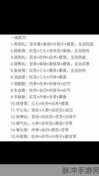 墨剑江湖，外劲流派的绝佳搭配指南