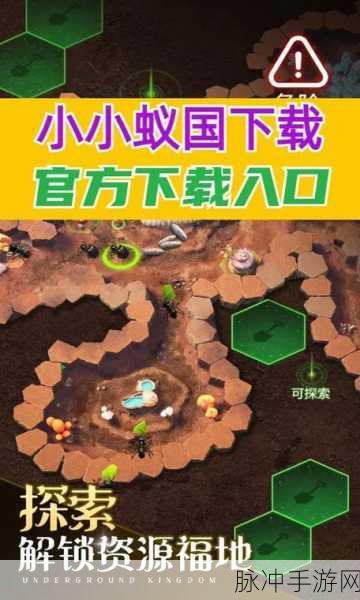 小小蚁国区域战全攻略，制霸蚁巢秘籍