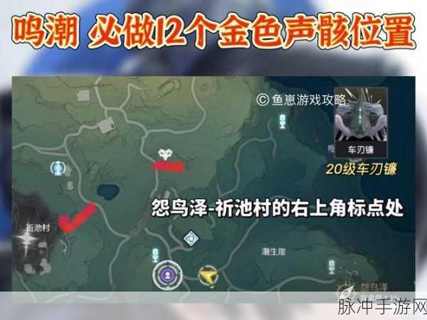 鸣潮手游，探寻无妄者的神秘位置