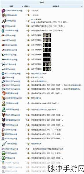 泰拉瑞亚公主入住的必备条件全解析