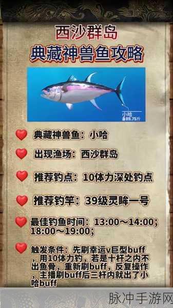 欢乐钓鱼大师，鱼类全图鉴大揭秘