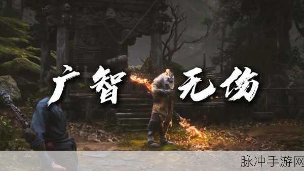 黑神话悟空，探寻广智神秘踪迹