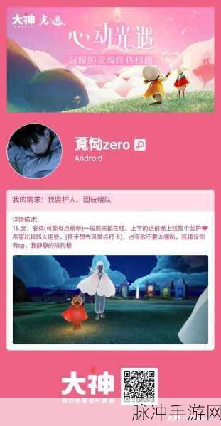 鹅鸭杀 PDD 皮肤全解析，魅力与特色