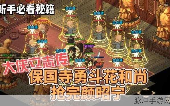 大侠立志传，完颜昭宁结缘秘籍大公开