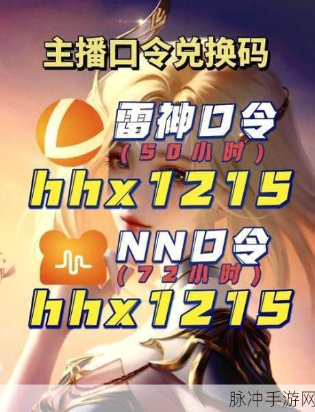 2024 和平精英风衣兑换码全攻略