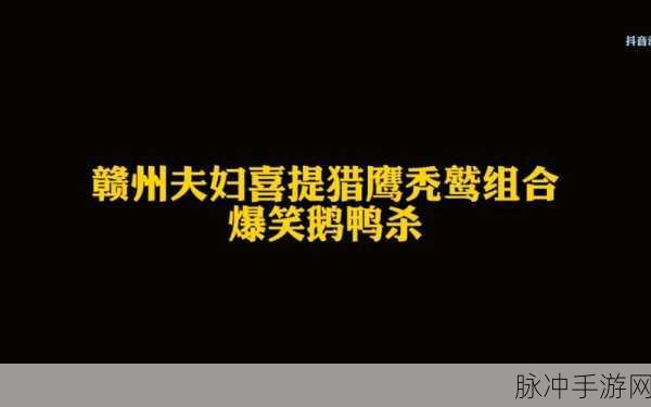 鹅鸭杀中秃鹫获胜的关键食量