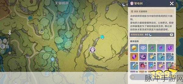 原神，探寻掣电树的神秘所在