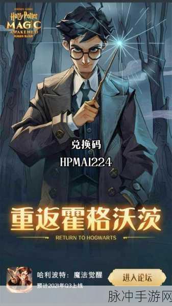 2024 哈利波特魔法觉醒兑换码全攻略,畅玩魔法世界
