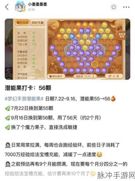 梦幻西游手游潜能果使用上限大揭秘