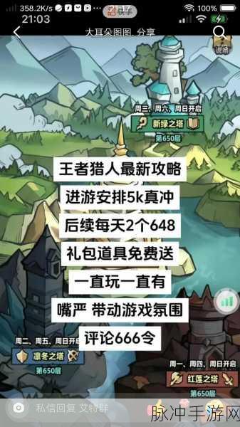 王者猎人新手必读，最新攻略与技巧大揭秘