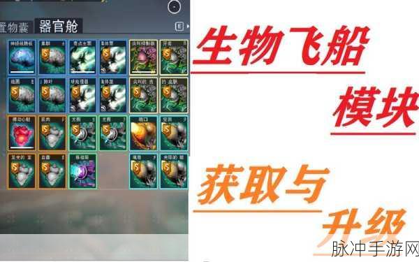 无人深空，解锁飞船部件的终极秘籍