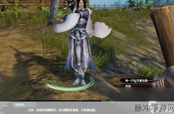 剑网 3寻猫记奇遇，探秘隐藏的惊喜之旅