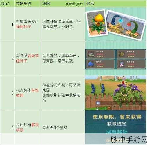 创造与魔法，鸡的生产全攻略