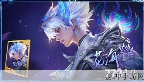 王者荣耀澜电玩皮肤价格与品质全解析