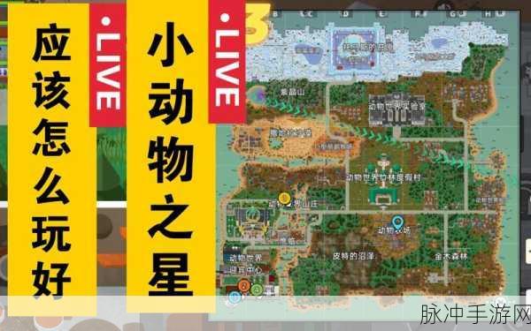 小动物之星 2024 最新未过期兑换码全揭秘