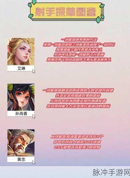 王者荣耀，法师与射手的关键作用及差异解析