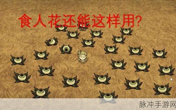 饥荒手游中恶魔之花的奇妙用途大揭秘