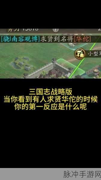 三国志战略版华佗用法全解析及武将战法巧妙搭配指南