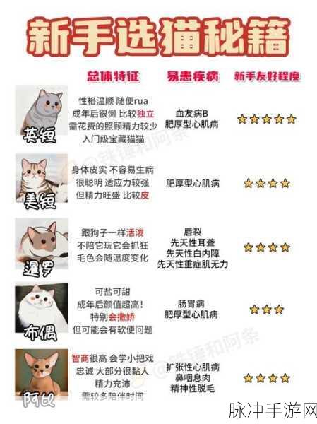 猫话列国新手必备，初期资源获取秘籍