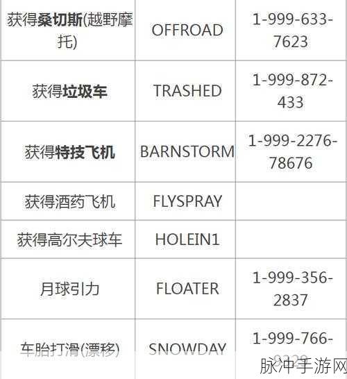 GTA5 秘籍无敌永久，畅享无敌游戏体验