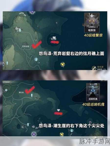 鸣潮手游雪鬃狼声骸技能全解析