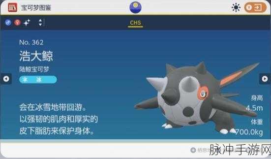 宝可梦朱紫浩大鲸配招秘籍大公开