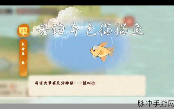 桃源深处有人家，探寻各类珍稀鱼的垂钓之地