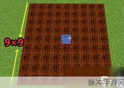 我的世界中种植土地的全方位指南