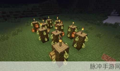 我的世界中种植土地的全方位指南