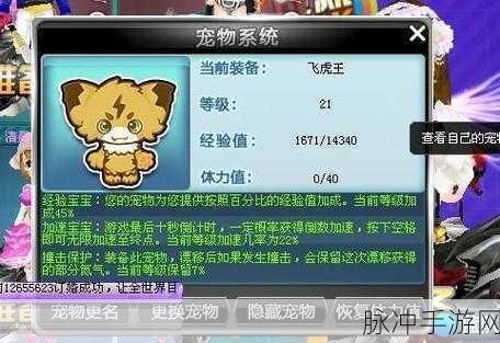 探寻购买飞车号的可靠网站及注意事项