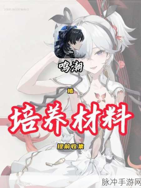 鸣潮画面模糊掉帧？完美解决攻略在此！