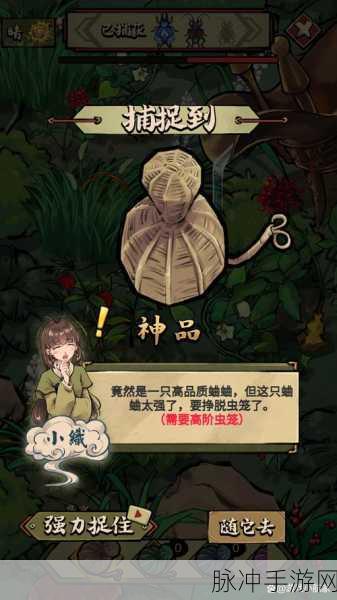 蛐蛐也疯狂 兑换码大揭秘与攻略指南