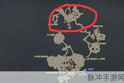 命运方舟跑岛全解析，探索游戏中的神秘之旅