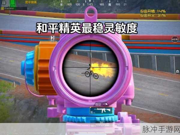 2024 和平精英灵敏度分享码大揭秘，助你称霸战场