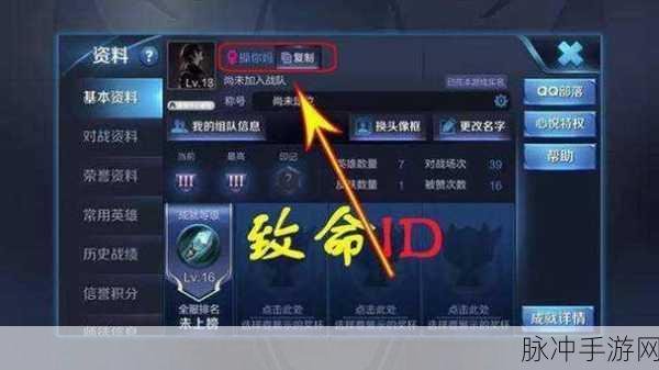王者荣耀高端局霸气 ID 全揭秘