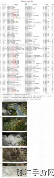 古龙风云录鸡蛋位置全揭秘，助你畅玩江湖