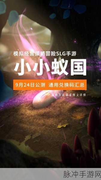2024 小蚁帝国兑换码全攻略，畅玩无忧