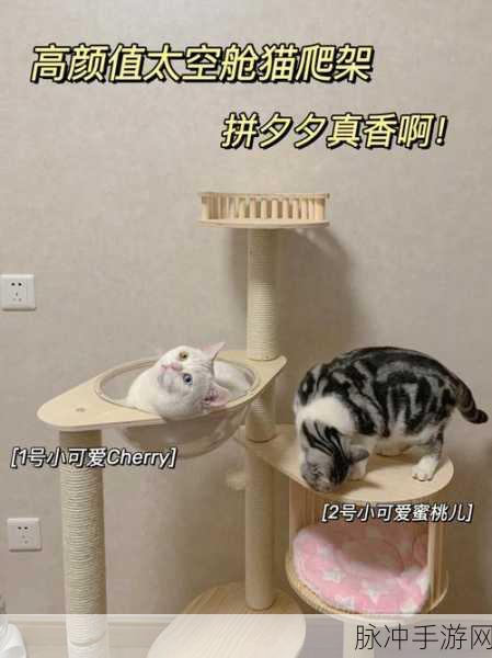 爆梗找茬王猫爬架玩法全解析攻略