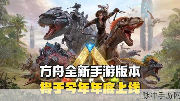 流浪方舟礼包码与兑换码全攻略 2024 版