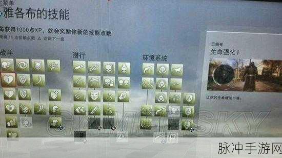 烟雨江湖偷瓜贼支线任务全攻略指南