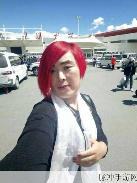 古龙风云录，五犬旌旗杨支线任务全解析