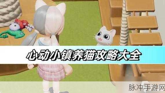 心动小镇养猫秘籍大公开
