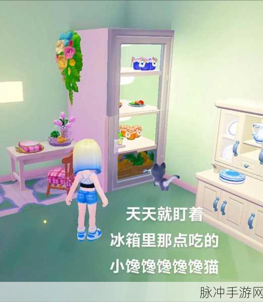 心动小镇养猫秘籍大公开