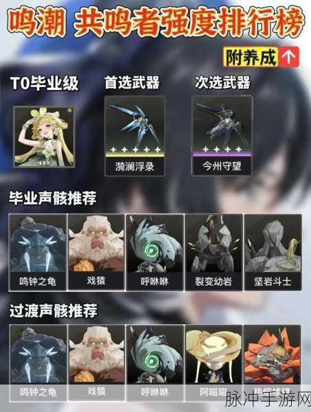 鸣潮釉瑚武器选择指南，打造最强战力