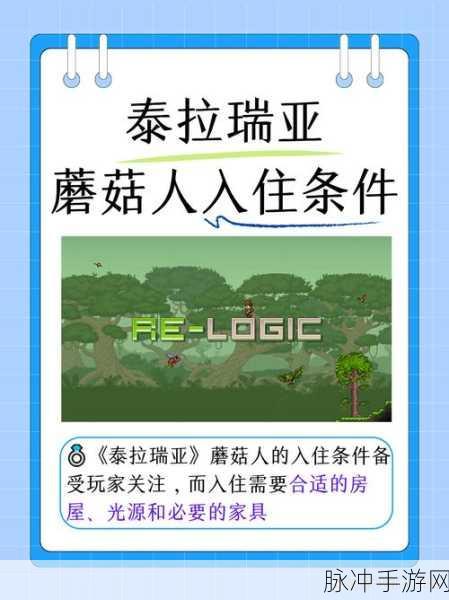 泰拉瑞亚，让笨拙史莱姆入住的终极指南