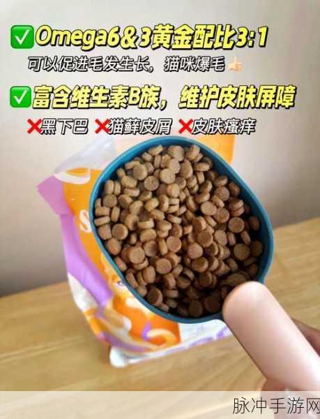 玩转动脑我最牛 让猫成功吃鱼秘籍大公开