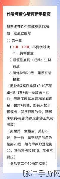 代号鸢 9-11 通关秘籍，全方位攻略解析